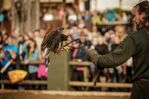 _BF_9389-20140830-MAFHorsens2014-0010